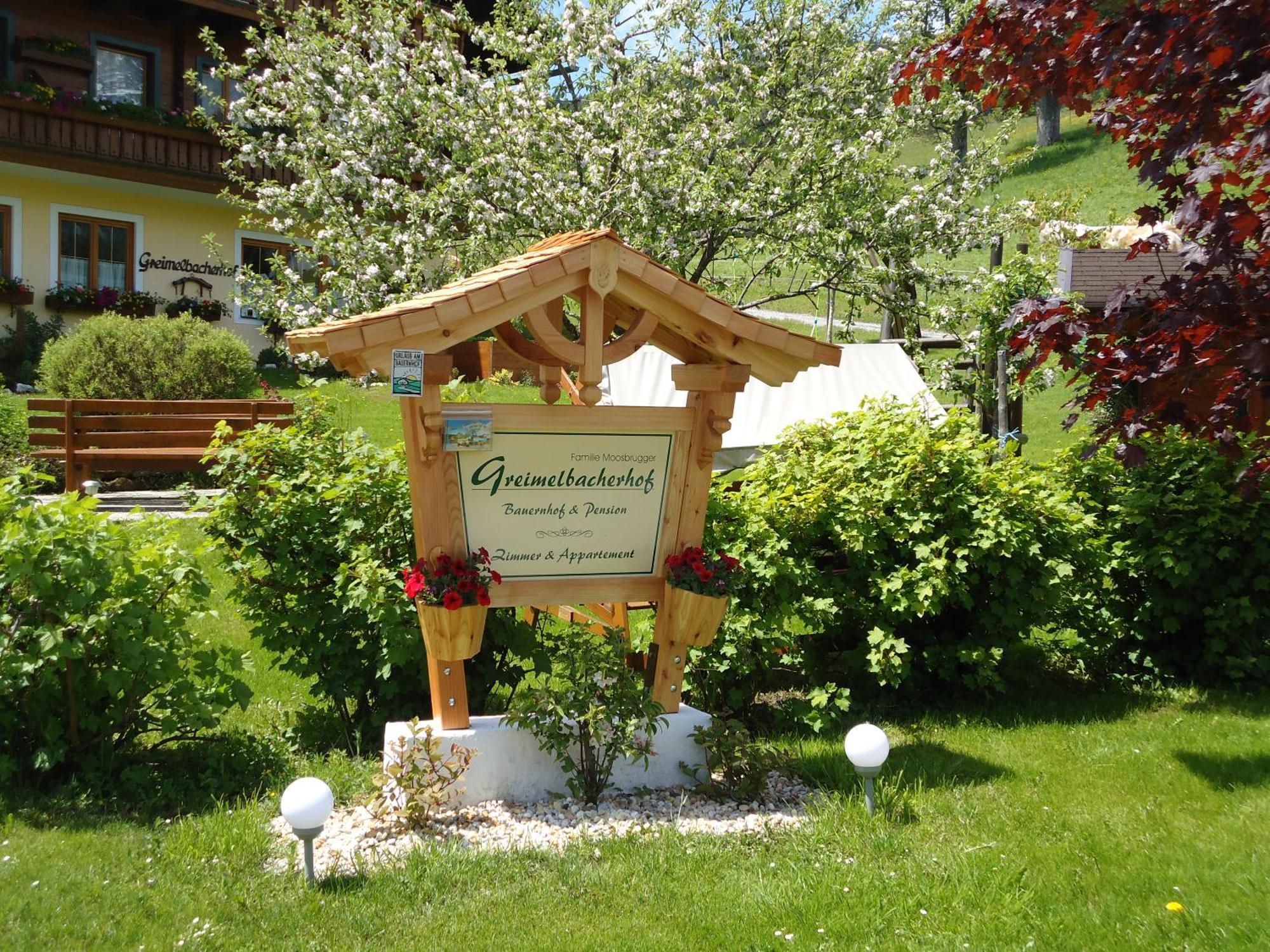 Pension-Greimelbacherhof Ramsau am Dachstein Exteriör bild