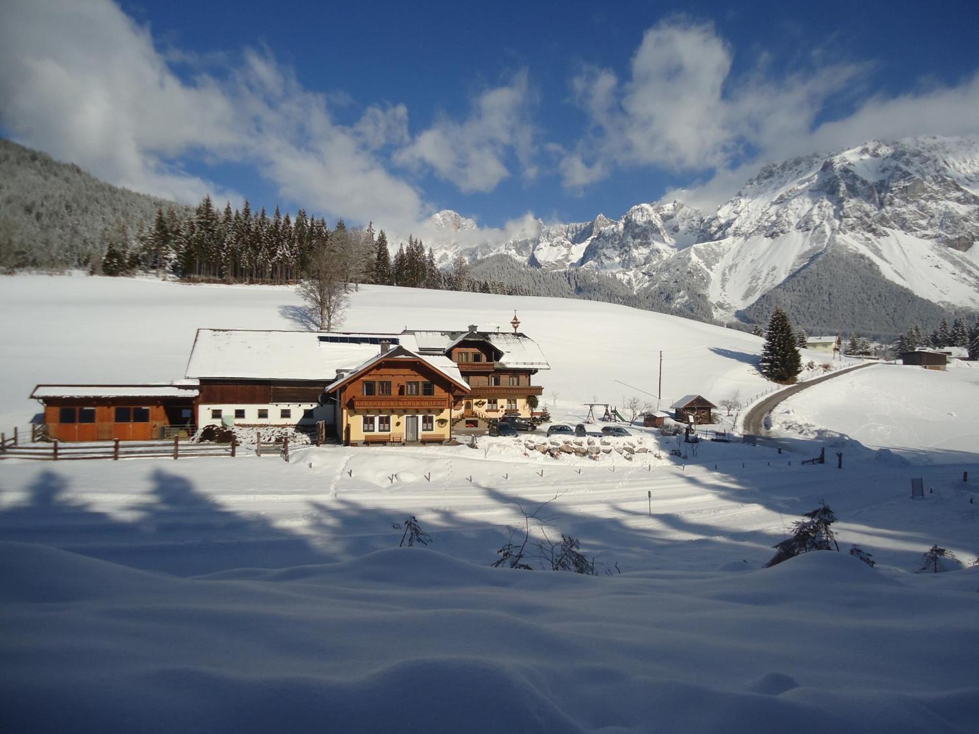 Pension-Greimelbacherhof Ramsau am Dachstein Exteriör bild