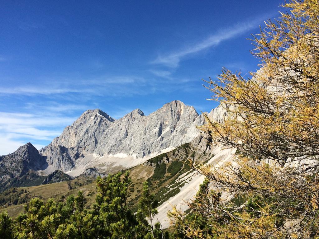 Pension-Greimelbacherhof Ramsau am Dachstein Exteriör bild