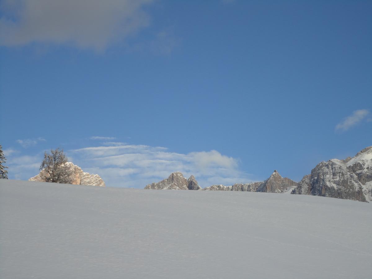 Pension-Greimelbacherhof Ramsau am Dachstein Exteriör bild