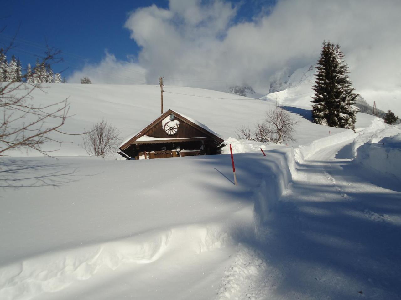 Pension-Greimelbacherhof Ramsau am Dachstein Exteriör bild