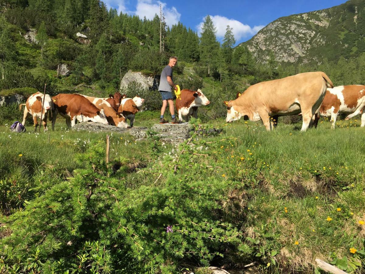 Pension-Greimelbacherhof Ramsau am Dachstein Exteriör bild
